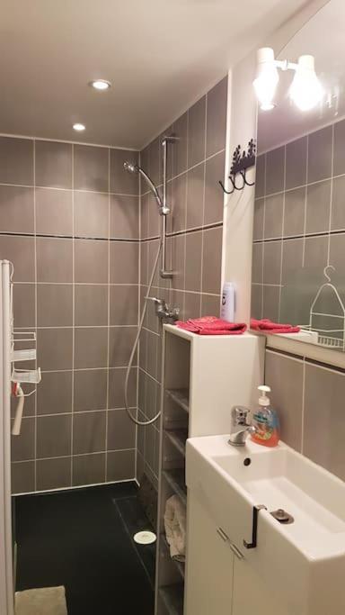 Studio, Mons Sart, Proche Lille Et Metro المظهر الخارجي الصورة